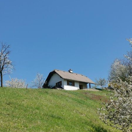 Apartma Pusa Pesnica pri Mariboru Buitenkant foto