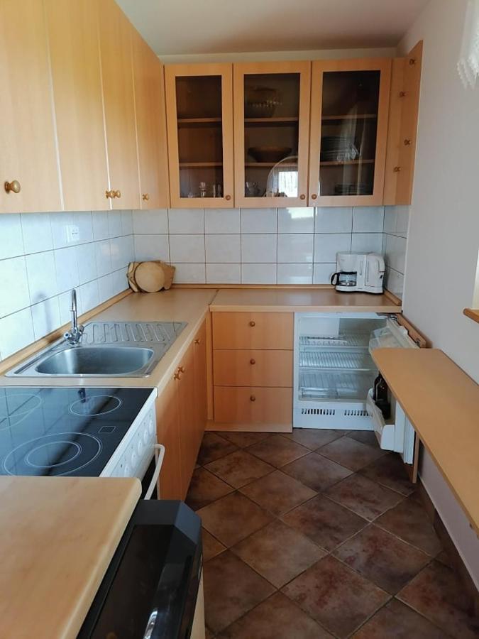 Apartma Pusa Pesnica pri Mariboru Buitenkant foto