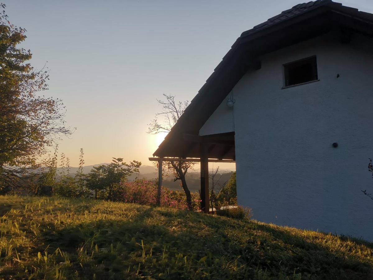 Apartma Pusa Pesnica pri Mariboru Buitenkant foto