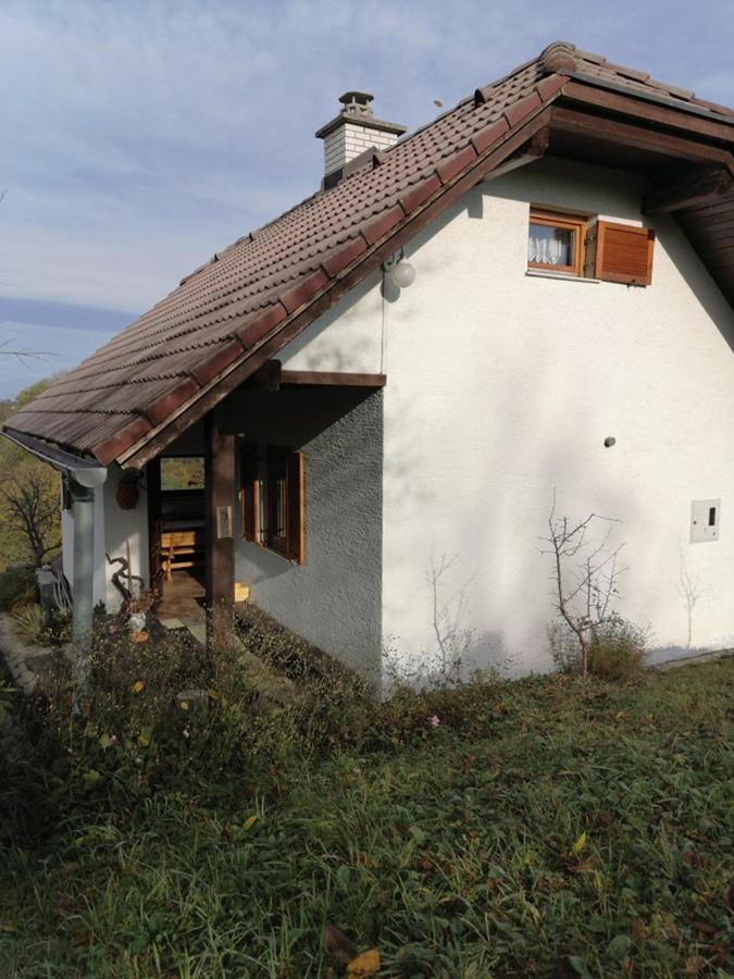 Apartma Pusa Pesnica pri Mariboru Buitenkant foto